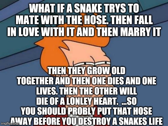 Futurama Fry Meme | WHAT IF A SNAKE TRYS TO MATE WITH THE HOSE. THEN FALL IN LOVE WITH IT AND THEN MARRY IT THEN THEY GROW OLD TOGETHER AND THEN ONE DIES AND ON | image tagged in memes,futurama fry | made w/ Imgflip meme maker