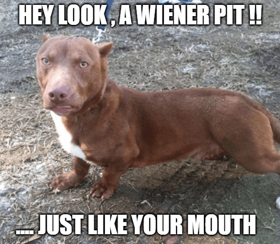 pit | HEY LOOK , A WIENER PIT !! .... JUST LIKE YOUR MOUTH | image tagged in wiener pit | made w/ Imgflip meme maker