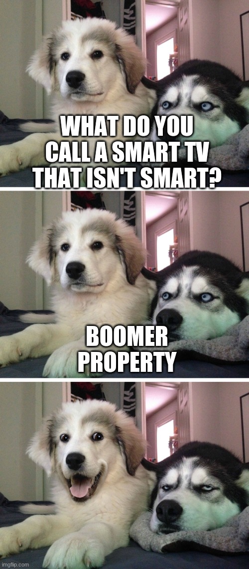Bad pun dogs | WHAT DO YOU CALL A SMART TV THAT ISN'T SMART? BOOMER PROPERTY | image tagged in bad pun dogs | made w/ Imgflip meme maker