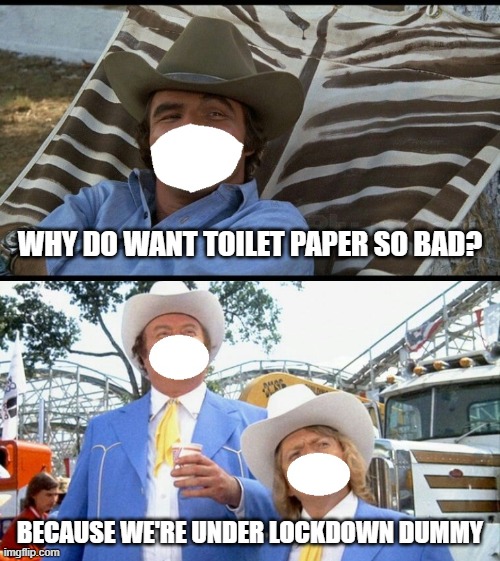 Toilet Paper and the Bandit | WHY DO WANT TOILET PAPER SO BAD? BECAUSE WE'RE UNDER LOCKDOWN DUMMY | image tagged in smokey and the bandit,covid-19 | made w/ Imgflip meme maker
