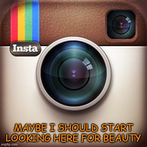 Instagram | MAYBE I SHOULD START LOOKING HERE FOR BEAUTY | image tagged in instagram | made w/ Imgflip meme maker