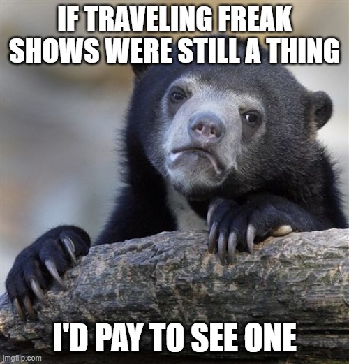 Confession Bear | IF TRAVELING FREAK SHOWS WERE STILL A THING; I'D PAY TO SEE ONE | image tagged in memes,confession bear,AdviceAnimals | made w/ Imgflip meme maker