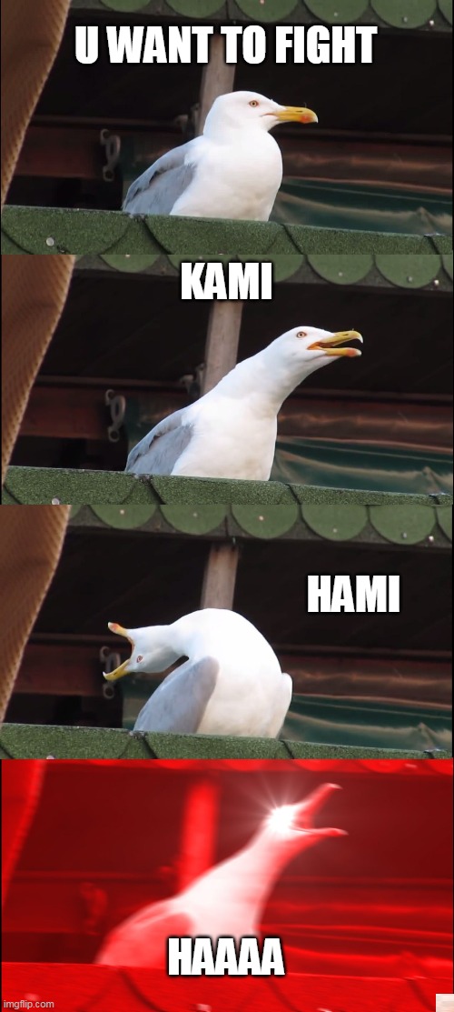 Inhaling Seagull Meme | U WANT TO FIGHT; KAMI; HAMI; HAAAA | image tagged in memes,inhaling seagull | made w/ Imgflip meme maker