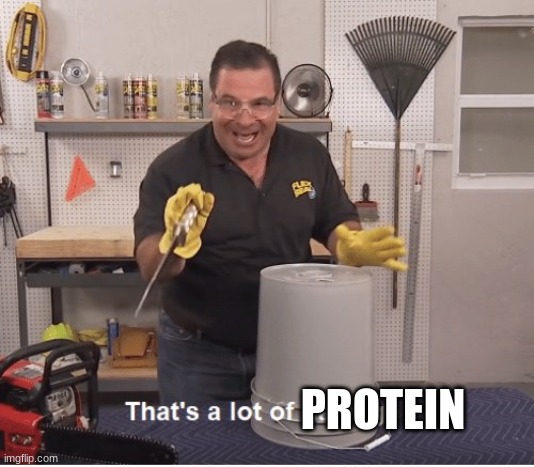 Thats alot of damage | PROTEIN | image tagged in thats alot of damage | made w/ Imgflip meme maker