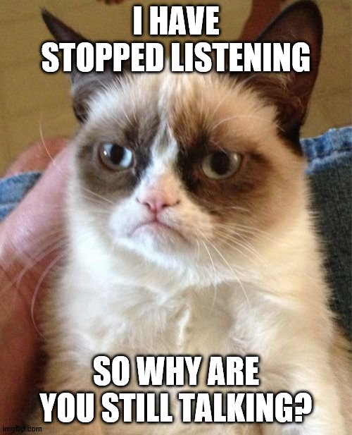 Grumpy Cat | I HAVE STOPPED LISTENING; SO WHY ARE YOU STILL TALKING? | image tagged in memes,grumpy cat | made w/ Imgflip meme maker