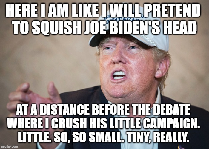 It's a small one | HERE I AM LIKE I WILL PRETEND 
TO SQUISH JOE BIDEN'S HEAD; AT A DISTANCE BEFORE THE DEBATE 
WHERE I CRUSH HIS LITTLE CAMPAIGN. 
LITTLE. SO, SO SMALL. TINY, REALLY. | image tagged in it's a small one,trump,maga hat,election 2020,joe biden | made w/ Imgflip meme maker