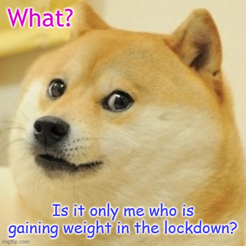 Doge | What? Is it only me who is gaining weight in the lockdown? | image tagged in memes,doge | made w/ Imgflip meme maker