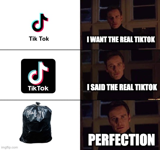Tiktok is tiktoxic | I WANT THE REAL TIKTOK; I SAID THE REAL TIKTOK; PERFECTION | image tagged in i want the real,memes,reality,life,tiktok | made w/ Imgflip meme maker