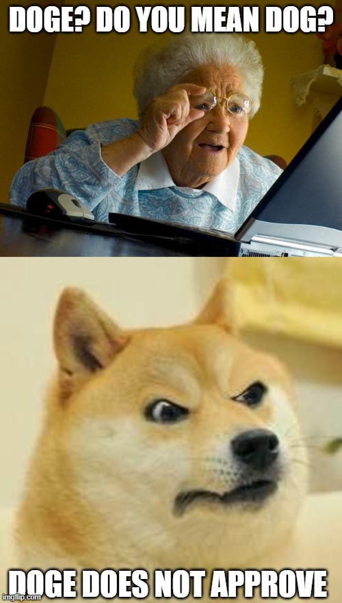 when a boomer sees a meme for the first time be like | DOGE? DO YOU MEAN DOG? DOGE DOES NOT APPROVE | image tagged in memes,grandma finds the internet,angry doge | made w/ Imgflip meme maker
