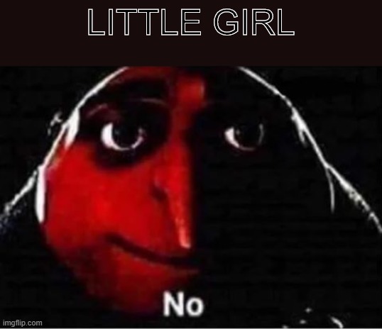 Gru No | LITTLE GIRL | image tagged in gru no | made w/ Imgflip meme maker