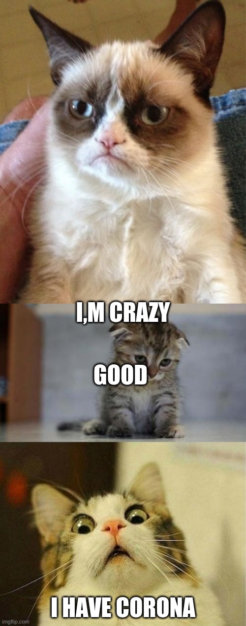 I,M CRAZY; GOOD; I HAVE CORONA | image tagged in memes,grumpy cat,scared cat,sad kitten | made w/ Imgflip meme maker