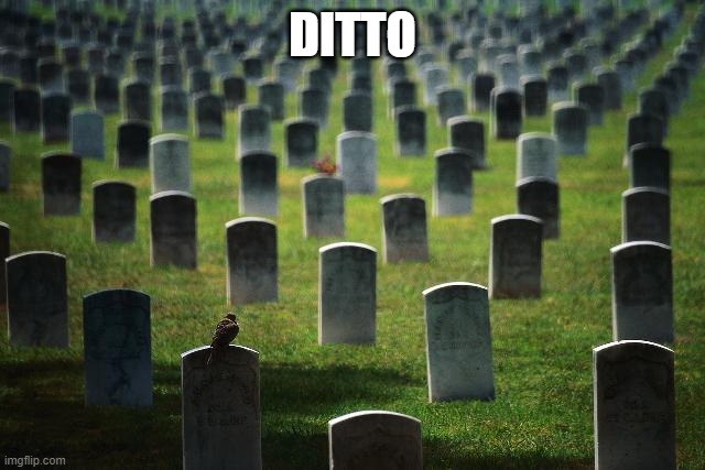 graveyard cemetary | DITTO | image tagged in graveyard cemetary | made w/ Imgflip meme maker