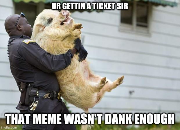 for some imgflipers... | UR GETTIN A TICKET SIR; THAT MEME WASN'T DANK ENOUGH | image tagged in memes,pig,arrested,dank memes,ticket | made w/ Imgflip meme maker