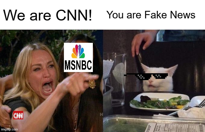 Woman Yelling At Cat | We are CNN! You are Fake News | image tagged in memes,woman yelling at cat | made w/ Imgflip meme maker