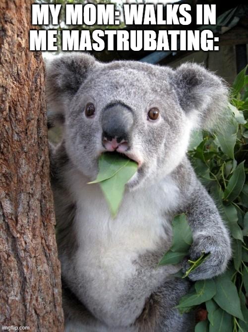 Surprised Koala Meme | MY MOM: WALKS IN
ME MASTRUBATING: | image tagged in memes,surprised koala | made w/ Imgflip meme maker