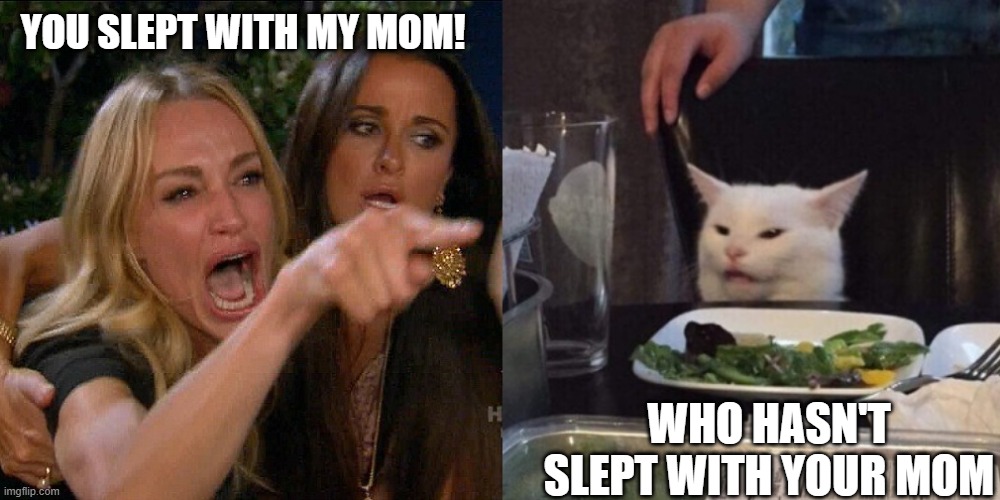 Woman yelling at cat | YOU SLEPT WITH MY MOM! WHO HASN'T SLEPT WITH YOUR MOM | image tagged in woman yelling at cat | made w/ Imgflip meme maker