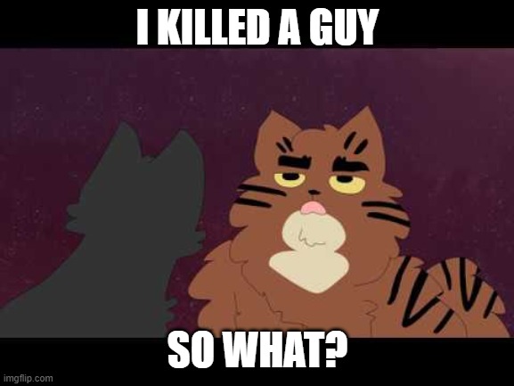 Tigerstar gets a life | I KILLED A GUY; SO WHAT? | image tagged in tigerstar gets a life | made w/ Imgflip meme maker