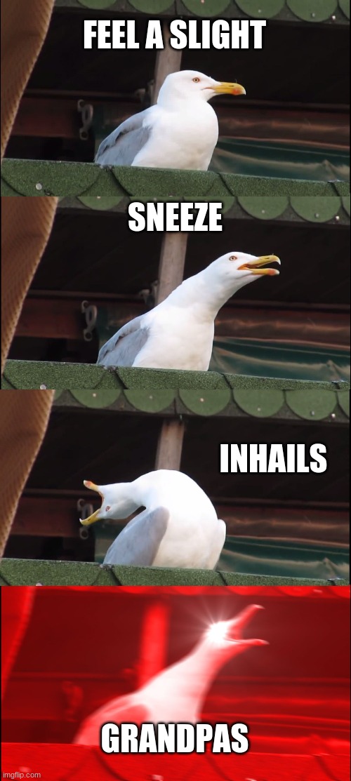 Inhaling Seagull Meme | FEEL A SLIGHT; SNEEZE; INHAILS; GRANDPAS | image tagged in memes,inhaling seagull | made w/ Imgflip meme maker