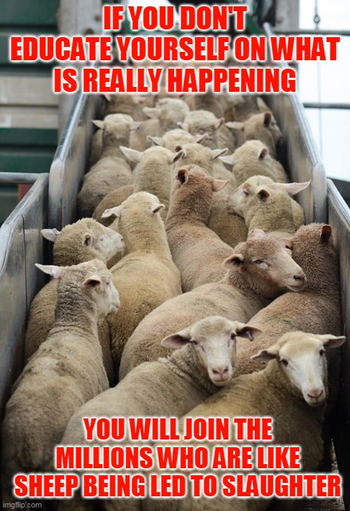 IF YOU DON'T EDUCATE YOURSELF ON WHAT IS REALLY HAPPENING; YOU WILL JOIN THE MILLIONS WHO ARE LIKE SHEEP BEING LED TO SLAUGHTER | made w/ Imgflip meme maker