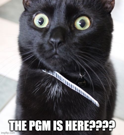 Woah Kitty Meme | THE PGM IS HERE???? | image tagged in memes,woah kitty | made w/ Imgflip meme maker