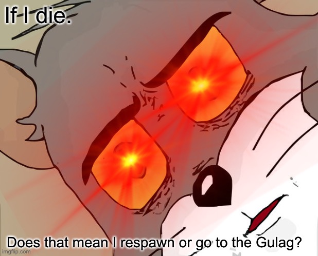 If I die. Does that mean I respawn or go to the Gulag? | image tagged in meme | made w/ Imgflip meme maker