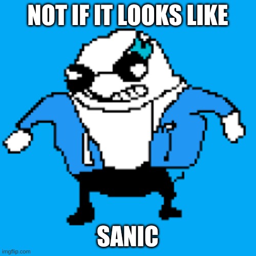 NOT IF IT LOOKS LIKE SANIC | made w/ Imgflip meme maker