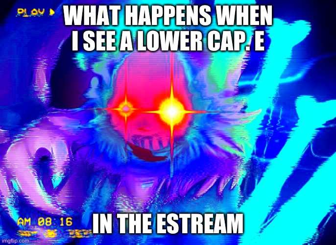 WHAT HAPPENS WHEN I SEE A LOWER CAP. E IN THE ESTREAM | made w/ Imgflip meme maker