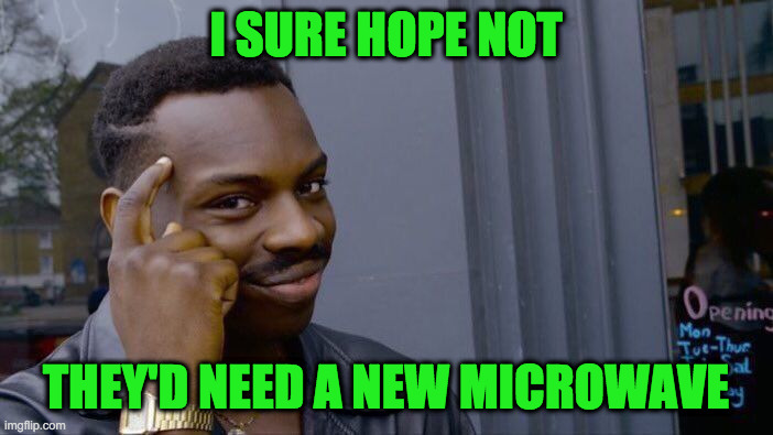 Roll Safe Think About It Meme | I SURE HOPE NOT THEY'D NEED A NEW MICROWAVE | image tagged in memes,roll safe think about it | made w/ Imgflip meme maker
