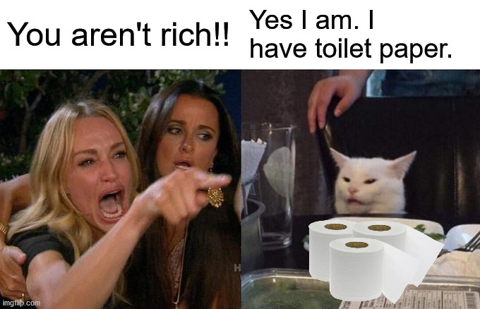 Woman Yelling At Cat Meme | You aren't rich!! Yes I am. I have toilet paper. | image tagged in memes,woman yelling at cat | made w/ Imgflip meme maker