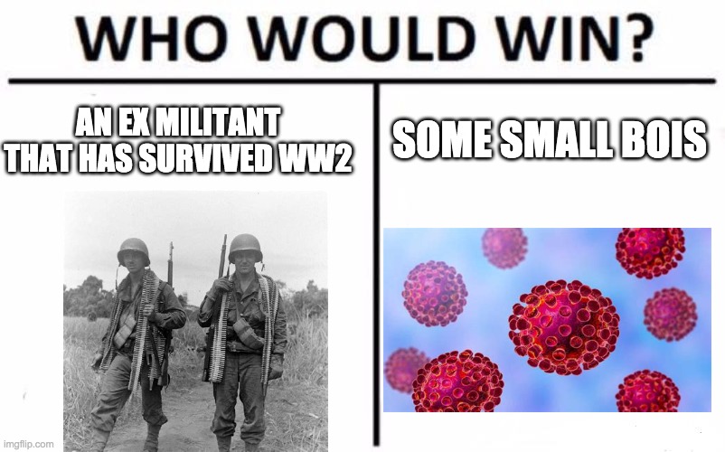 Who Would Win? Meme | SOME SMALL BOIS; AN EX MILITANT THAT HAS SURVIVED WW2 | image tagged in memes,who would win | made w/ Imgflip meme maker
