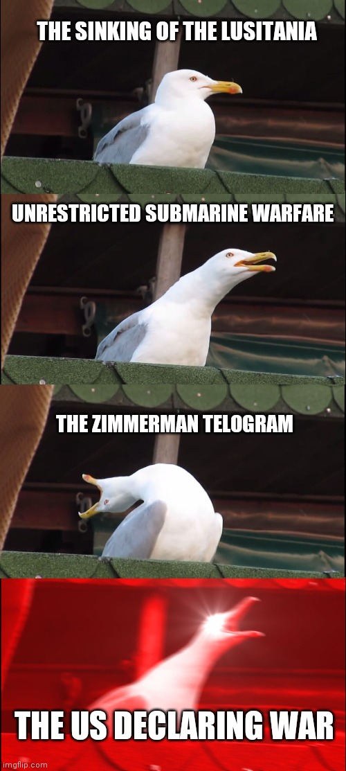 Inhaling Seagull Meme | THE SINKING OF THE LUSITANIA; UNRESTRICTED SUBMARINE WARFARE; THE ZIMMERMAN TELOGRAM; THE US DECLARING WAR | image tagged in memes,inhaling seagull | made w/ Imgflip meme maker