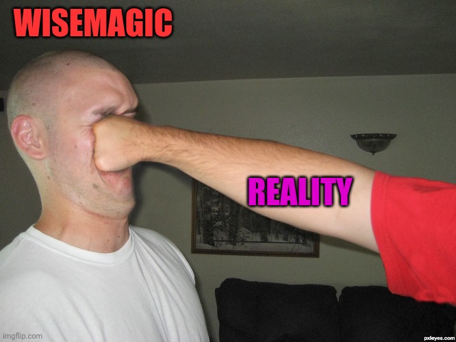 Face punch | WISEMAGIC REALITY | image tagged in face punch | made w/ Imgflip meme maker