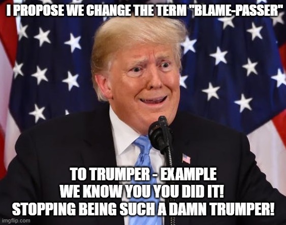 I PROPOSE WE CHANGE THE TERM "BLAME-PASSER"; TO TRUMPER - EXAMPLE

WE KNOW YOU YOU DID IT! 
STOPPING BEING SUCH A DAMN TRUMPER! | image tagged in trump,donald trump,blame everyone,blame,blame passer | made w/ Imgflip meme maker