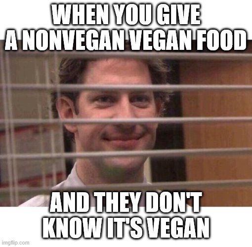 Jim Office Blinds | WHEN YOU GIVE A NONVEGAN VEGAN FOOD; AND THEY DON'T KNOW IT'S VEGAN | image tagged in jim office blinds | made w/ Imgflip meme maker