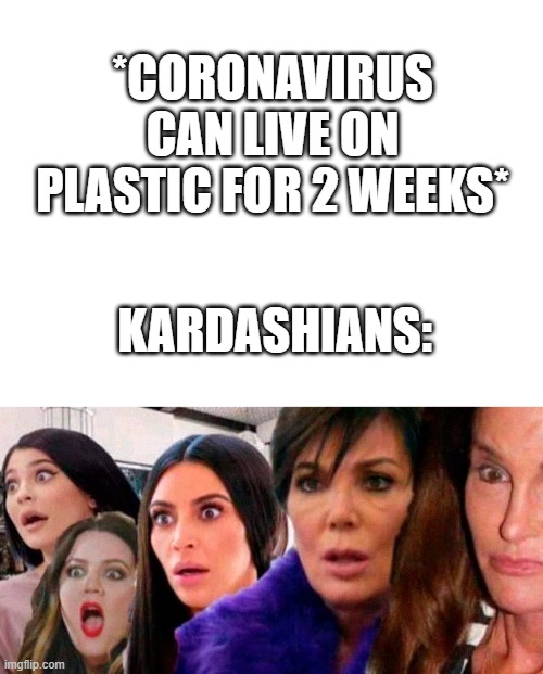 *CORONAVIRUS CAN LIVE ON PLASTIC FOR 2 WEEKS*; KARDASHIANS: | image tagged in blank white template | made w/ Imgflip meme maker