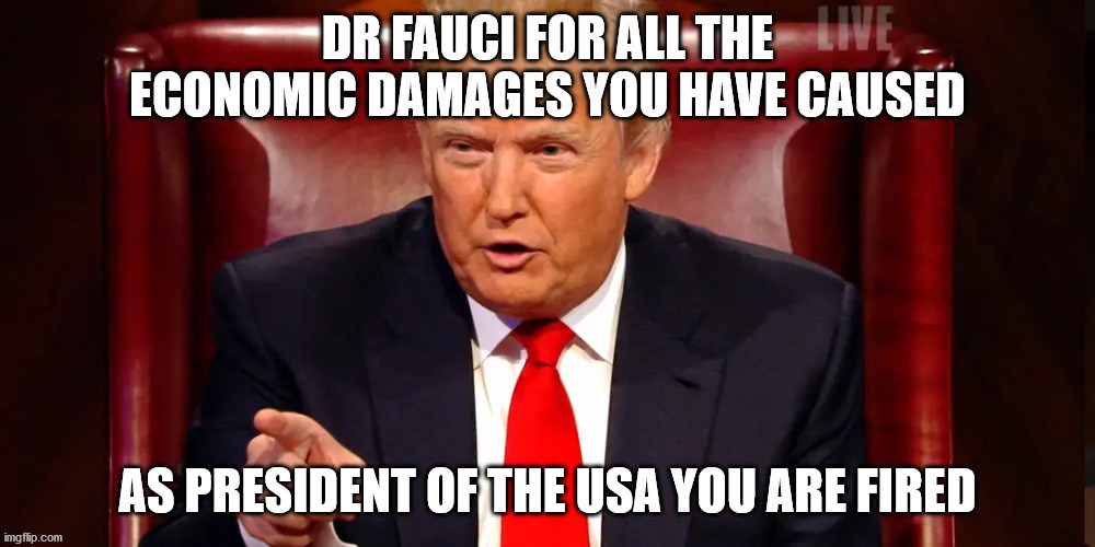Trumps big success | image tagged in dr fauci,fauci fired,president trump,cdc | made w/ Imgflip meme maker