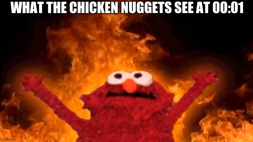 elmo fire | WHAT THE CHICKEN NUGGETS SEE AT 00:01 | image tagged in elmo fire | made w/ Imgflip meme maker