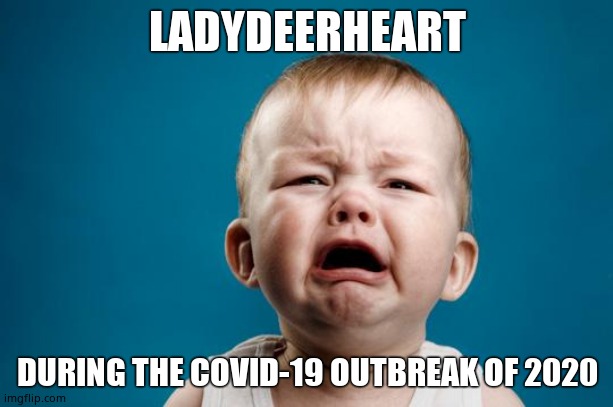 BABY CRYING | LADYDEERHEART DURING THE COVID-19 OUTBREAK OF 2020 | image tagged in baby crying | made w/ Imgflip meme maker