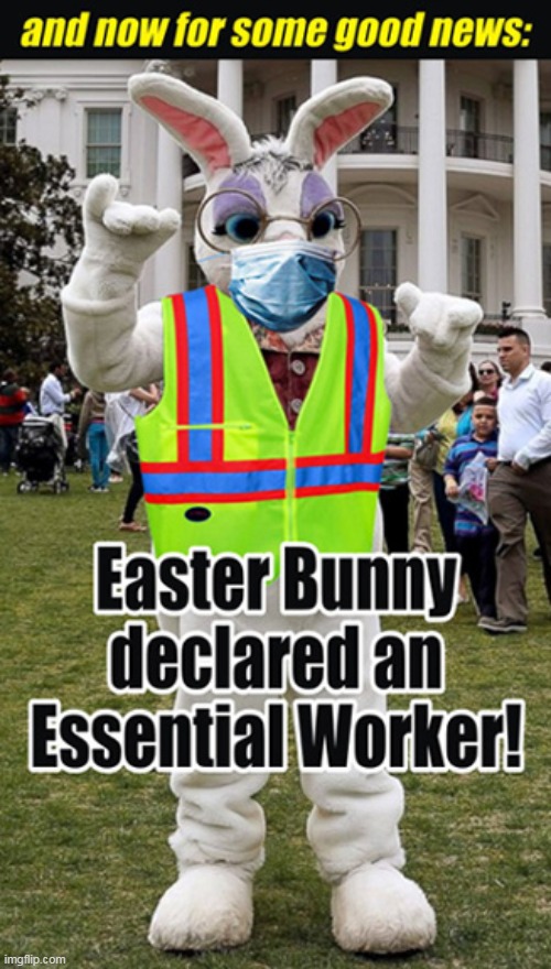 Bring On The Chocolates! :) | image tagged in memes,fun,coronavirus,easter bunny | made w/ Imgflip meme maker