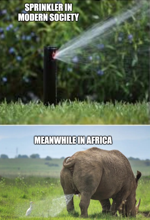 SPRINKLER IN MODERN SOCIETY; MEANWHILE IN AFRICA | image tagged in funny memes | made w/ Imgflip meme maker