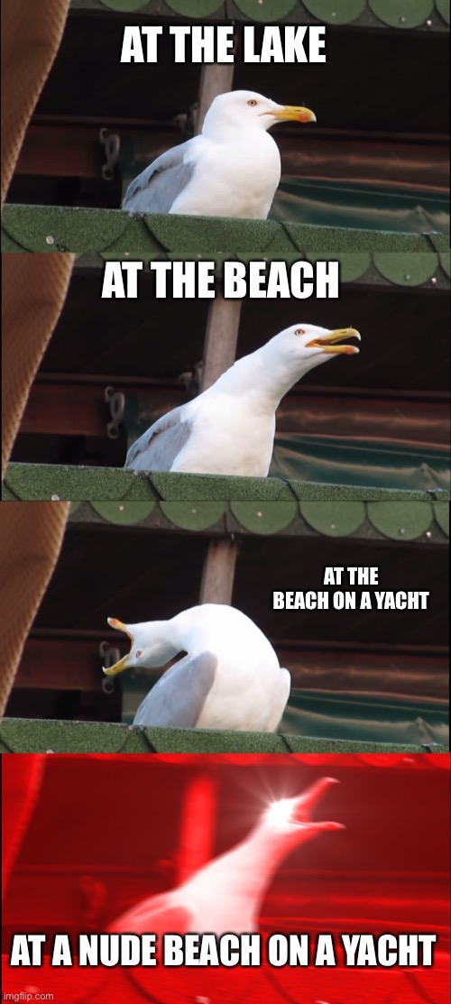 Inhaling Seagull Meme | AT THE LAKE; AT THE BEACH; AT THE BEACH ON A YACHT; AT A NUDE BEACH ON A YACHT | image tagged in memes,inhaling seagull | made w/ Imgflip meme maker