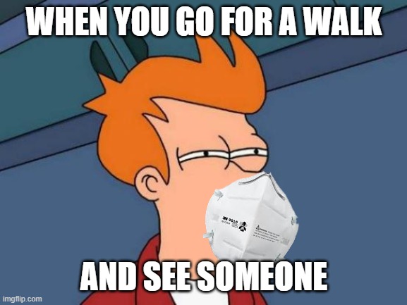 the apocalypse | WHEN YOU GO FOR A WALK; AND SEE SOMEONE | image tagged in memes,futurama fry,coronavirus,corona virus | made w/ Imgflip meme maker