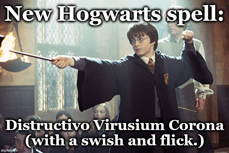hp | New Hogwarts spell:; Distructivo Virusium Corona
(with a swish and flick.) | image tagged in hp | made w/ Imgflip meme maker