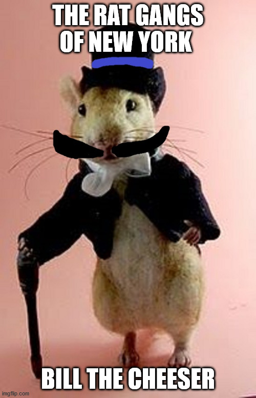 The Rat Gangs of New York | THE RAT GANGS OF NEW YORK; BILL THE CHEESER | image tagged in rats,gangs of new york,rat gangs | made w/ Imgflip meme maker