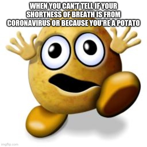 WHEN YOU CAN'T TELL IF YOUR SHORTNESS OF BREATH IS FROM CORONAVIRUS OR BECAUSE YOU'RE A POTATO | image tagged in potato,coronavirus,panic,quarantine | made w/ Imgflip meme maker