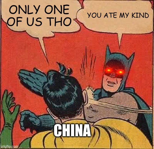 Batman Slapping Robin | ONLY ONE OF US THO; YOU ATE MY KIND; CHINA | image tagged in memes,batman slapping robin | made w/ Imgflip meme maker