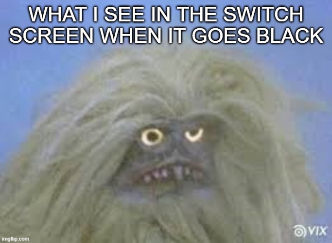 WHAT I SEE IN THE SWITCH SCREEN WHEN IT GOES BLACK | made w/ Imgflip meme maker