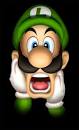 High Quality Scared Luigi Blank Meme Template