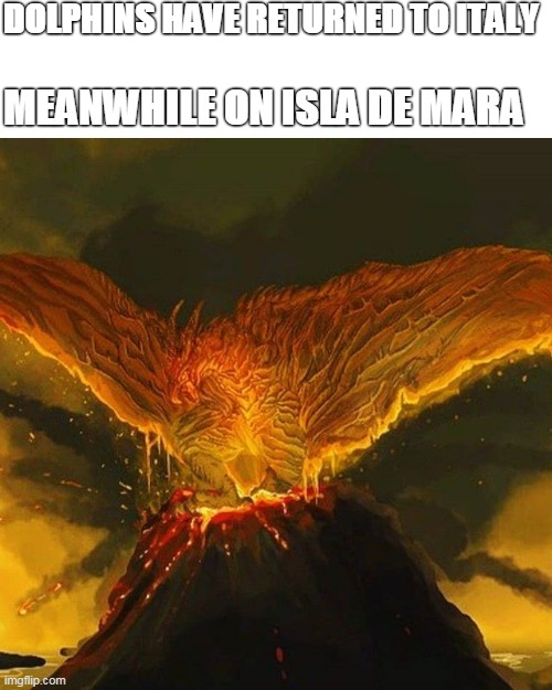 dolphins are returning to italy | DOLPHINS HAVE RETURNED TO ITALY; MEANWHILE ON ISLA DE MARA | image tagged in godzilla,memes | made w/ Imgflip meme maker