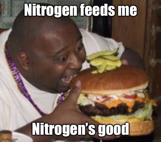 weird-fat-man-eating-burger | Nitrogen feeds me Nitrogen’s good | image tagged in weird-fat-man-eating-burger | made w/ Imgflip meme maker